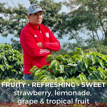 Colombia Finca El Mirador Elkin Guzman Huila Washed
